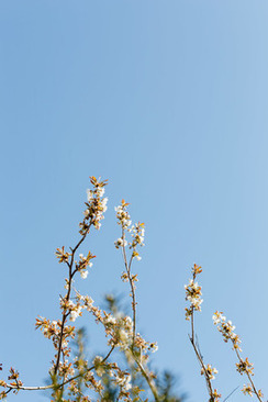 新娘床上的被子怎么放 新娘房被子怎么放才好看,要图片