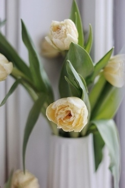 怎么样选戒指的大小 戒子怎么选大小？