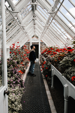 订婚酒席场面话