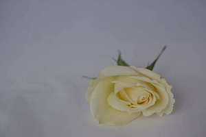 2000~2010年流行歌曲 推荐几首2000~2010年经典的歌