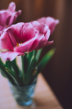 新郎穿绿色礼服 参加的婚礼可以穿绿色的衣服吗