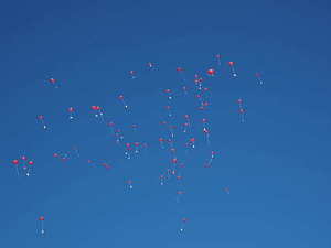 新郎新娘选伴郎伴娘属相禁忌 结婚时选伴郎伴娘有没有属相忌讳?