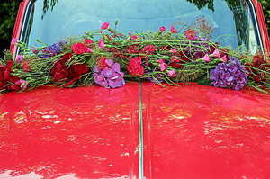 发红包不要要和他说些什么 给女孩发红包不收也不回话,我该说些什么