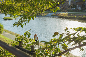 结婚酒店注意 结婚选择酒店应注意哪些问题？