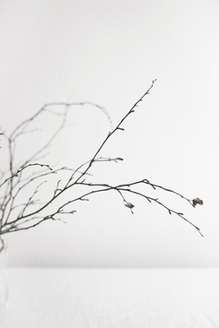 迎亲问题新郎 新郎迎亲的问题!~