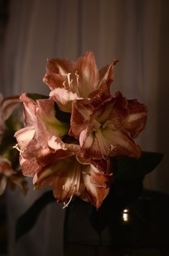 婚礼选酒店厅的层高 婚宴酒店定多大的合适？酒店大小全攻略