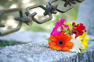 国内有名的婚礼主持人 中国知名的婚礼主持人有哪些？