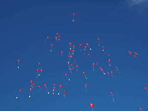 做新婚相册用什么歌最好 适合结婚电子相册的歌曲