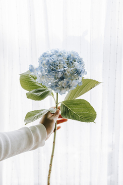 那些女人的真实背景 那些女人是在哪拍的