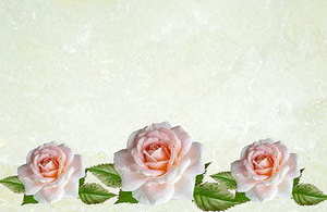 各国法定结婚年龄图 各国的结婚年龄