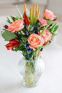 紫色代表什么意思 紫色代表什么意思??