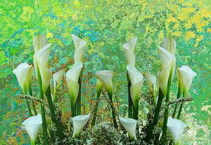 迎新娘穿什么衣服合适