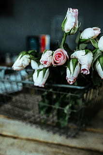 郑州初步订婚规矩 郑州订婚有什么规矩