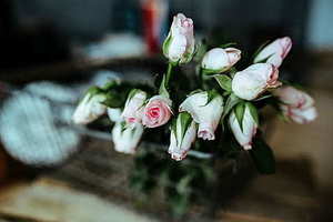 结婚证在什么地方领取 各地结婚证在那里领取?要什么手续?