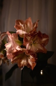 联婚酒席座位安排 求教潮汕地区联婚主桌人员坐法？