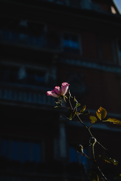 朋友很少结婚都请不到人