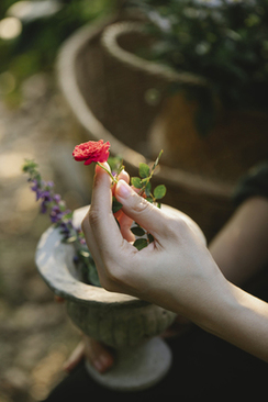 喝喜酒红包上写什么 去喝喜酒的红包上要写什么,怎么写?急啊!