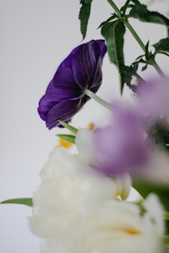 结婚当天适合唱的歌 适合在结婚当天播放的歌曲