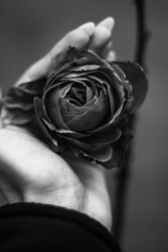 婚礼当天新娘穿衣顺序 婚礼当天，新娘需要准备几套衣服？