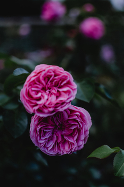 伴郎比新郎帅怎么办