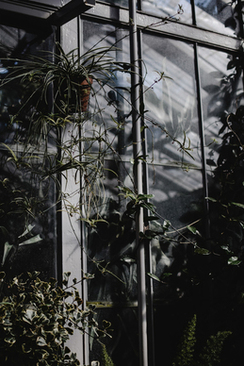 宴席凉菜大全 酒席八个凉菜有哪些？