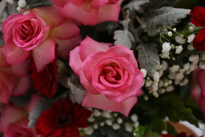 抖音最火求婚歌曲有哪些 抖音上面求婚的音乐