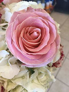 科目三的灯光怎么弄 科目三的灯光怎么使用