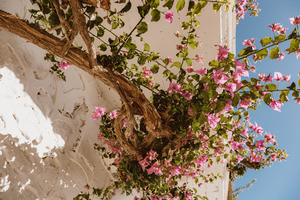 闺蜜结婚送600还是800 闺蜜结婚送多少红包合适呢