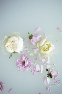 红包格式怎么写背面 礼金红包背面格式怎么写？