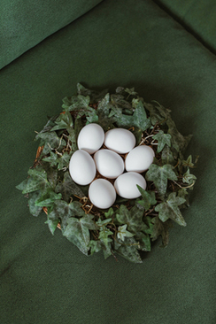 婚车一定要用鲜花吗