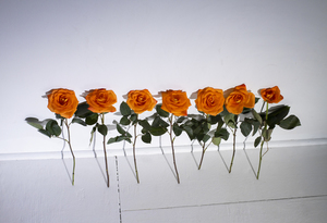 结婚当天娘家准备糕点 女儿接亲这天娘家要准备什么糕点