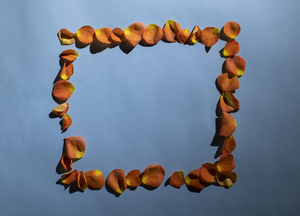 带花环是哪个带 戴在头上的花环在什么时候戴呢