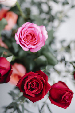 接亲一般几点 结婚新郎一般几点来女方家接亲的