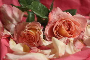 男士参加婚礼适合穿什么衣服 男士参加朋友婚礼应该穿什么衣服