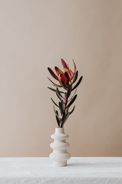 运城牵手婚庆 运城哪家婚庆公司好呢？