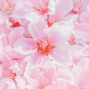 过年结婚穿什么衣服 结婚后第一年过年穿什么衣服好啊