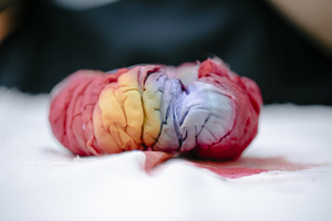 十一月结婚妈妈穿什么衣服 11月份儿子结婚婆婆穿人什么装？