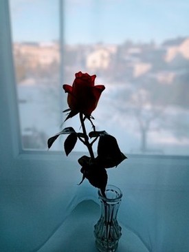 出席婚礼穿什么颜色好 去参加婚礼穿什么颜色好