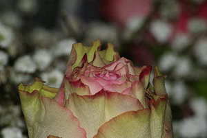 户口迁移有程序 户口迁移手续有哪些程序？