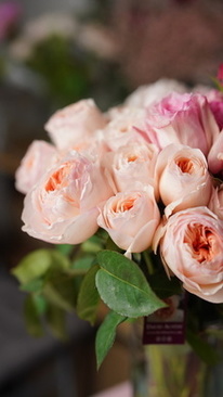 婚车高速上能开多快 请问婚车车队一般开多快?