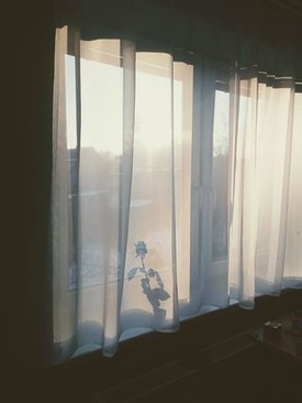 结婚扯证需要什么手续 领结婚证需要哪些手续