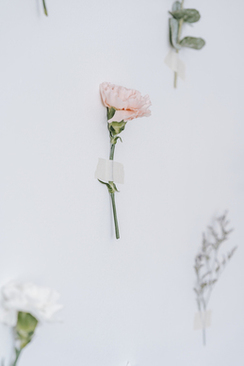 婚礼求婚誓言 求新郎结婚的求婚词和誓词