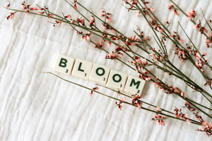 新郎怎么解决堵门问题