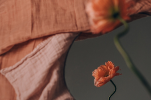 男方到女方接亲要准备什么 结婚迎亲接亲女方家准备什么流程