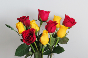 开一家喜庆用品店需要多少钱