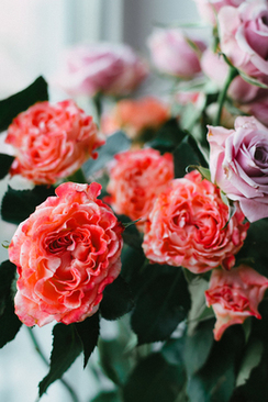 下聘礼写红纸怎么写 男方给女方下彩礼的红包封面如何书写？