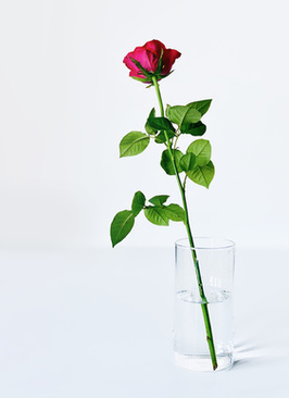 兄弟姐妹团入场主持词 婚礼仪式中请兄弟姐妹团出场的台词