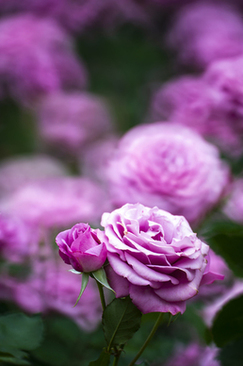 好朋友结婚送多少礼金 大家参加朋友的婚礼一般给多少钱？