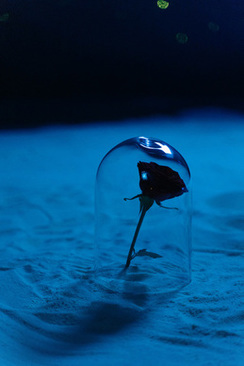 结婚走什么流程 结婚之前要走哪几个步骤？有哪些礼节？