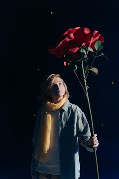 稳定器拍婚礼用哪种模式